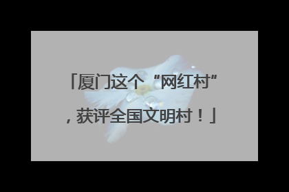 厦门这个“网红村”，获评全国文明村！