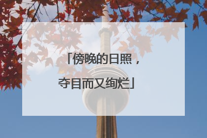 傍晚的日照，夺目而又绚烂