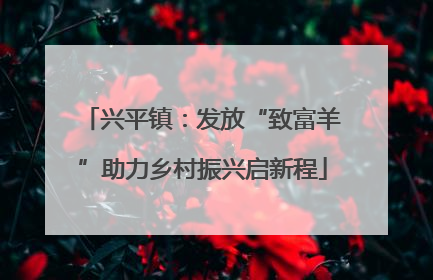 兴平镇：发放“致富羊”助力乡村振兴启新程