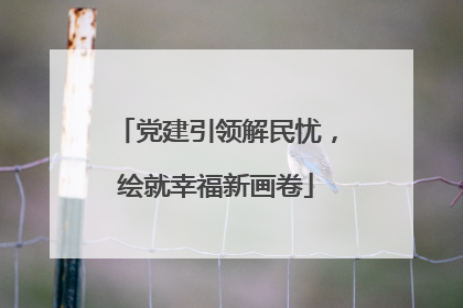 党建引领解民忧，绘就幸福新画卷