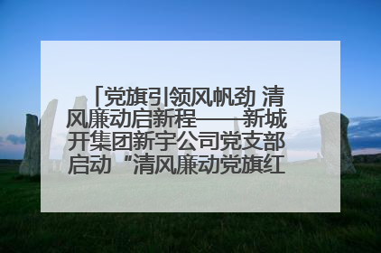 党旗引领风帆劲 清风廉动启新程——新城开集团新宇公司党支部启动“清风廉动党旗红”系列活动
