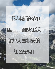 党旗插在农田里——潍柴雷沃守护大国粮安的红色密码