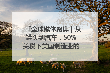 全球媒体聚焦｜从罐头到汽车，50%关税下美国制造业的“生死劫”