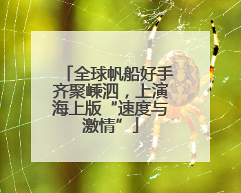 全球帆船好手齐聚嵊泗，上演海上版“速度与激情”