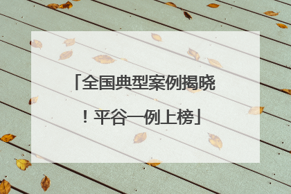 全国典型案例揭晓！平谷一例上榜