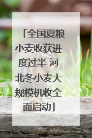 全国夏粮小麦收获进度过半 河北冬小麦大规模机收全面启动