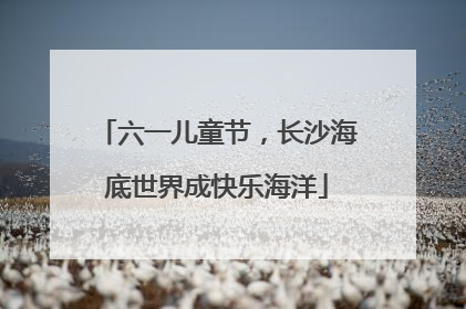 六一儿童节，长沙海底世界成快乐海洋