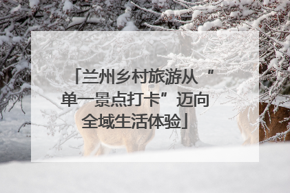 兰州乡村旅游从“单一景点打卡”迈向全域生活体验
