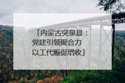 内蒙古突泉县：党建引领聚合力 以工代赈促增收