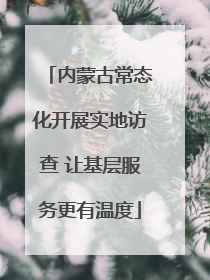 内蒙古常态化开展实地访查 让基层服务更有温度
