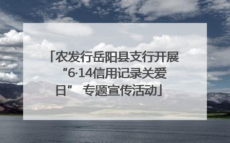 农发行岳阳县支行开展“6·14信用记录关爱日” 专题宣传活动