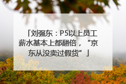 刘强东：P5以上员工薪水基本上都翻倍，“京东从没卖过假货”