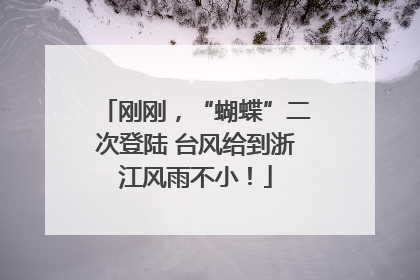 刚刚，“蝴蝶”二次登陆 台风给到浙江风雨不小！