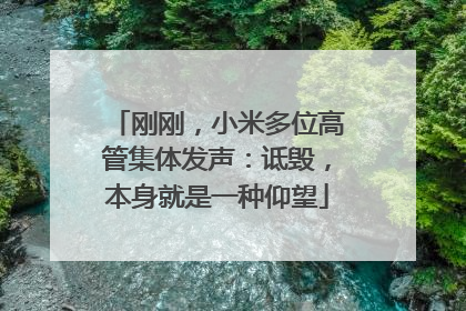 刚刚，小米多位高管集体发声：诋毁，本身就是一种仰望