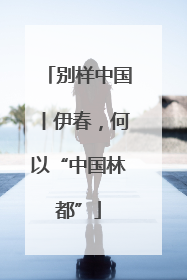 别样中国丨伊春，何以“中国林都”
