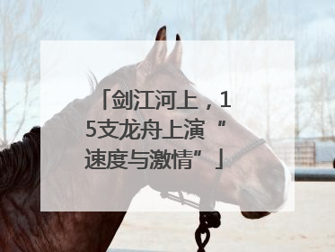 剑江河上，15支龙舟上演“速度与激情”