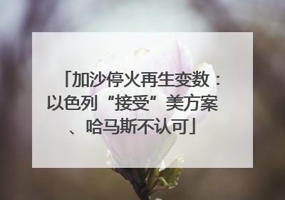 加沙停火再生变数:以色列“接受”美方案、哈马斯不认可