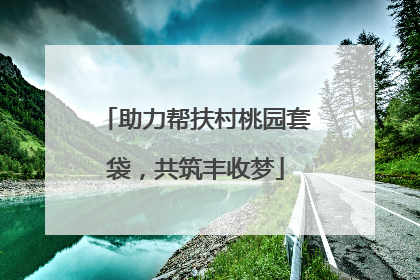助力帮扶村桃园套袋，共筑丰收梦