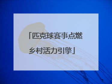 匹克球赛事点燃乡村活力引擎