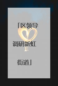 区领导调研新虹街道