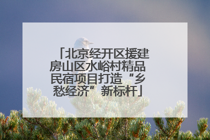 北京经开区援建房山区水峪村精品民宿项目打造“乡愁经济”新标杆