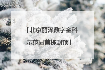 北京丽泽数字金科示范园首栋封顶