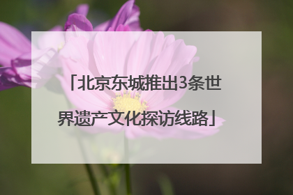 北京东城推出3条世界遗产文化探访线路