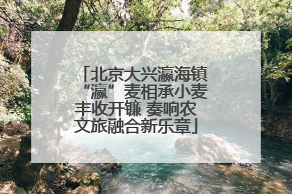 北京大兴瀛海镇“瀛”麦相承小麦丰收开镰 奏响农文旅融合新乐章
