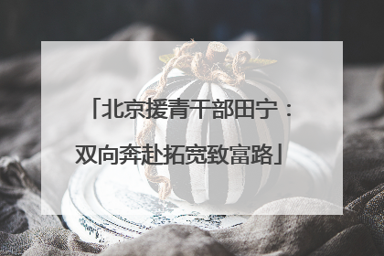 北京援青干部田宁：双向奔赴拓宽致富路