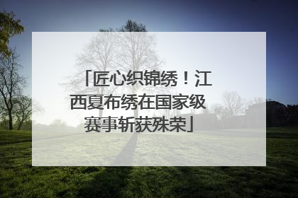 匠心织锦绣！江西夏布绣在国家级赛事斩获殊荣