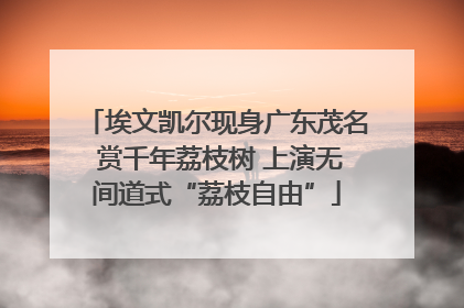 埃文凯尔现身广东茂名 赏千年荔枝树 上演无间道式“荔枝自由”