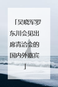 吴晓军罗东川会见出席青洽会的国内外嘉宾