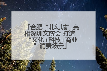 合肥“北幻城”亮相深圳文博会 打造“文化+科技+商业”消费场景
