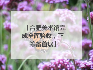 合肥美术馆完成全面验收，正筹备首展