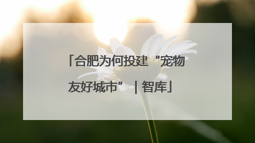 合肥为何投建“宠物友好城市”｜智库
