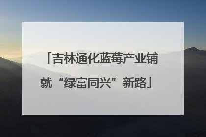 吉林通化蓝莓产业铺就“绿富同兴”新路