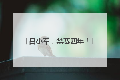 吕小军，禁赛四年！