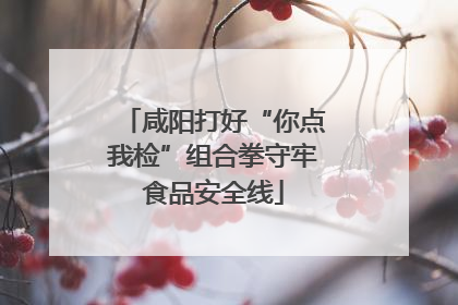 咸阳打好“你点我检”组合拳守牢食品安全线