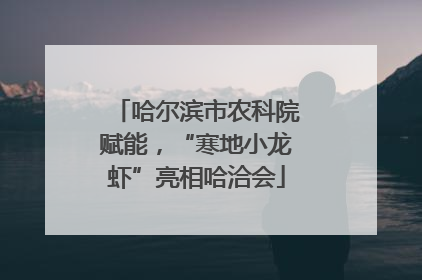 哈尔滨市农科院赋能，“寒地小龙虾”亮相哈洽会