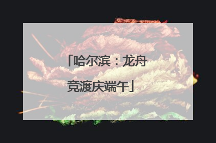 哈尔滨：龙舟竞渡庆端午