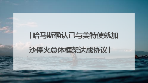 哈马斯确认已与美特使就加沙停火总体框架达成协议