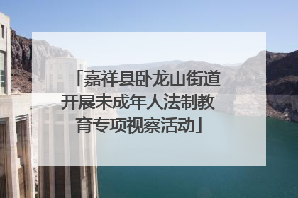 嘉祥县卧龙山街道开展未成年人法制教育专项视察活动