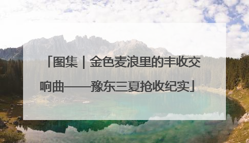 图集｜金色麦浪里的丰收交响曲——豫东三夏抢收纪实