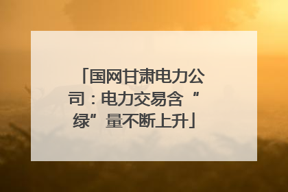 国网甘肃电力公司：电力交易含“绿”量不断上升