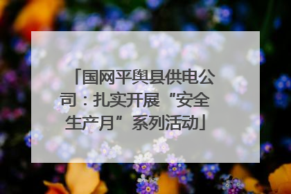 国网平舆县供电公司：扎实开展“安全生产月”系列活动