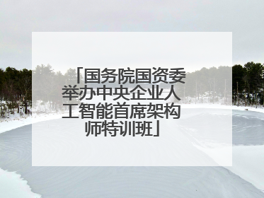国务院国资委举办中央企业人工智能首席架构师特训班