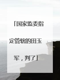 国家监委指定管辖的田玉军，判了