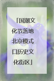 国潮文化节落地北京模式口历史文化街区