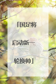 国足将启动新一轮换帅