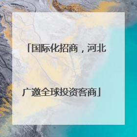 国际化招商，河北广邀全球投资客商
